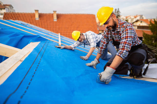 Best Flat Roof Repair Services  in Glencoe, IL