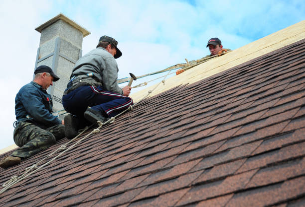 Best Commercial Roofing Services  in Glencoe, IL